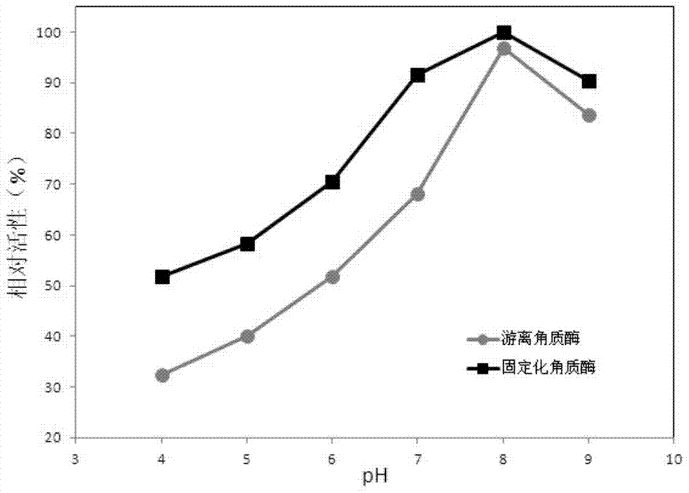 Immobilized cutinase and preparation method and application thereof in removal of phthalic acid esters in water