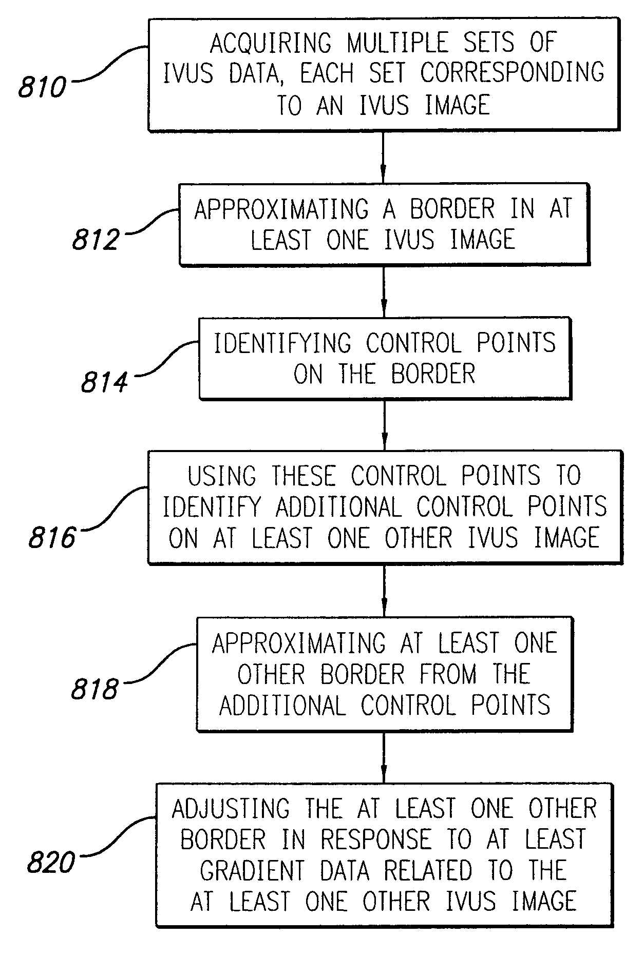 System and method for identifying a vascular border