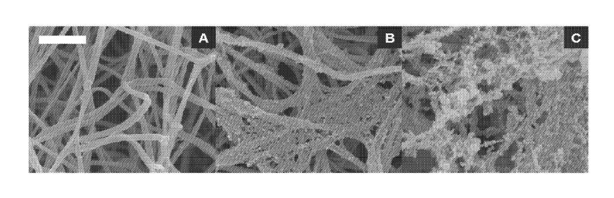 Cell-collagen-silica composites and methods of making and using the same