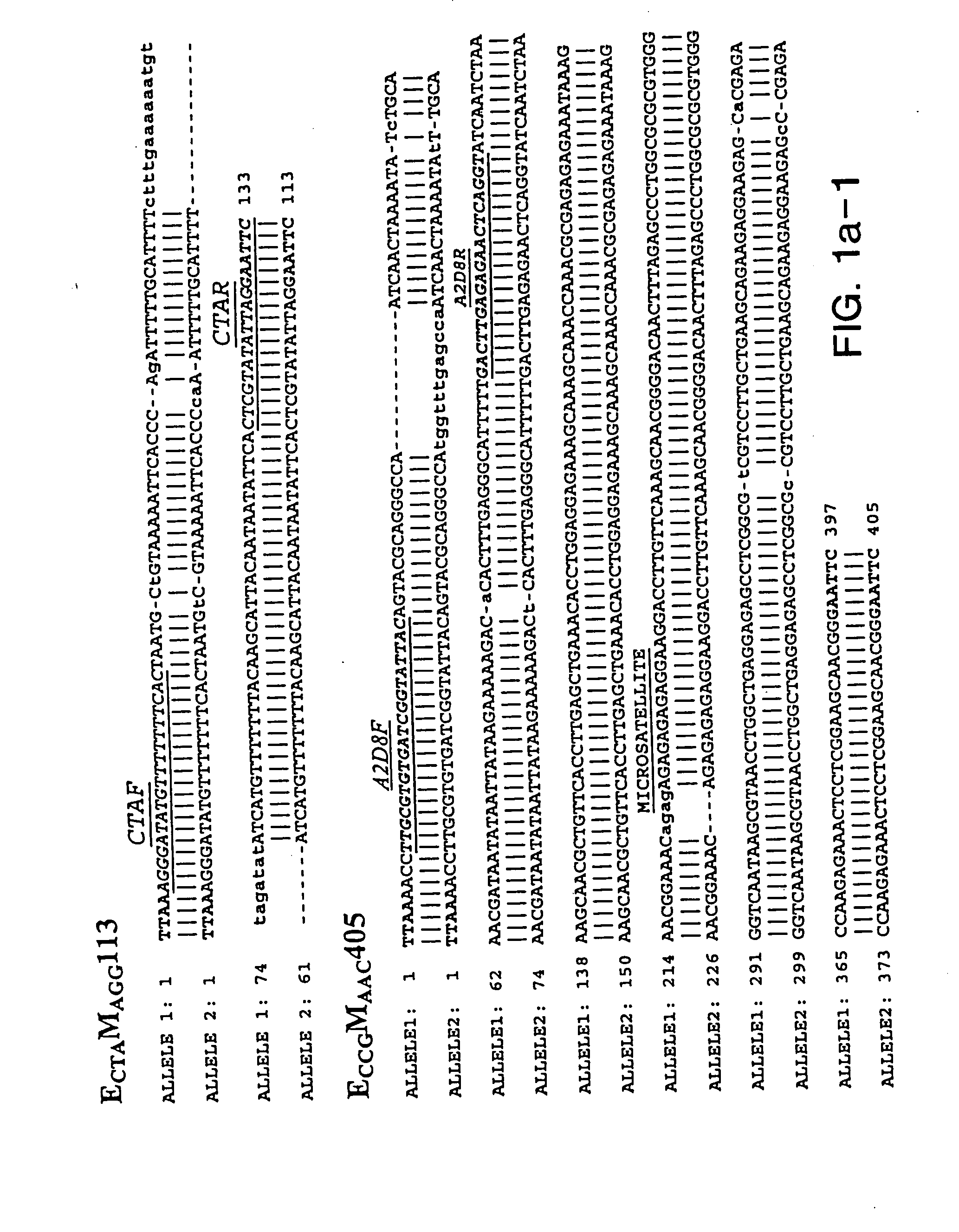 Isolated polynucleotides and polypeptides relating to loci underlying resistance to soybean cyst nematode and soybean sudden death syndrome and methods employing same