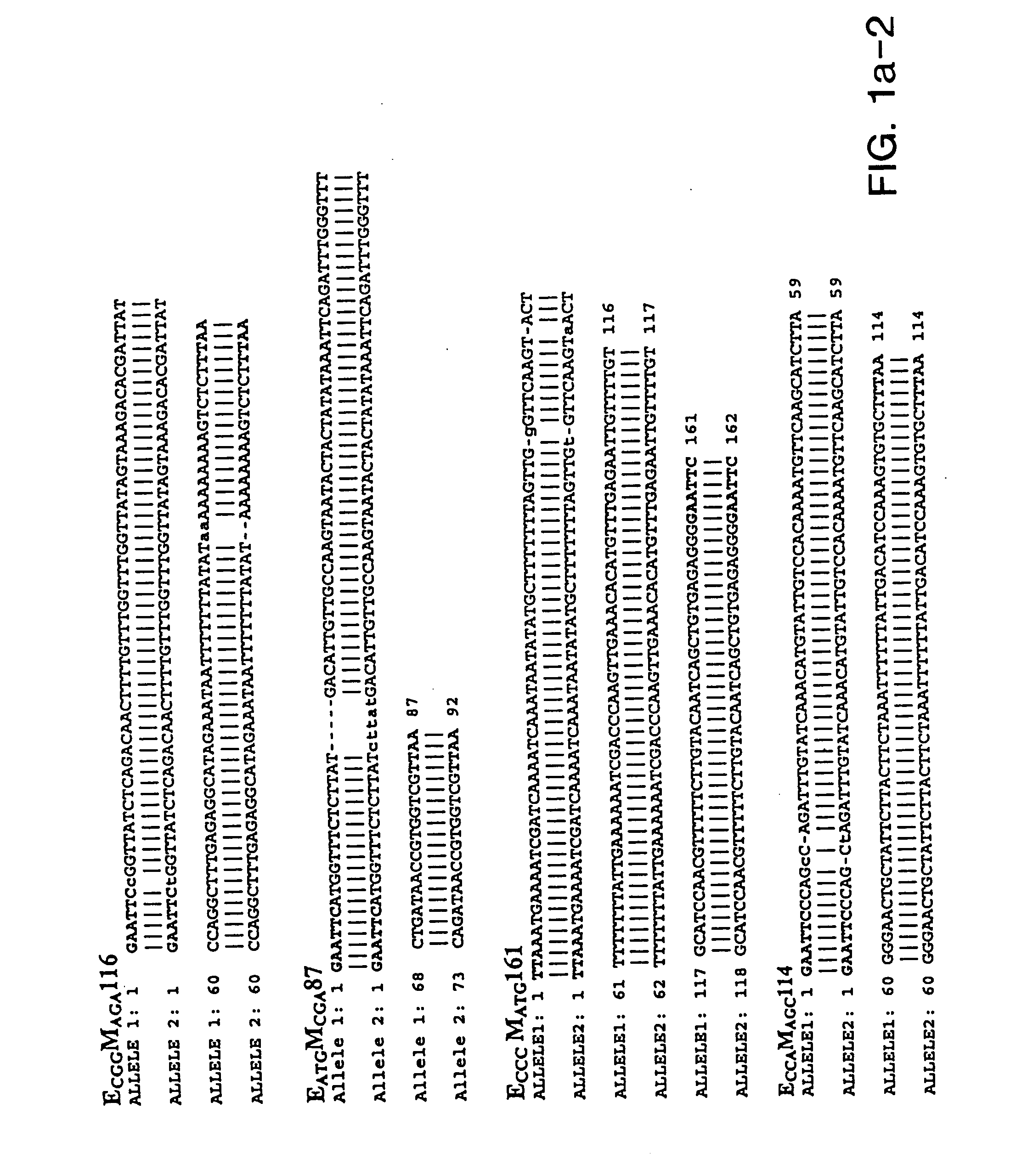 Isolated polynucleotides and polypeptides relating to loci underlying resistance to soybean cyst nematode and soybean sudden death syndrome and methods employing same