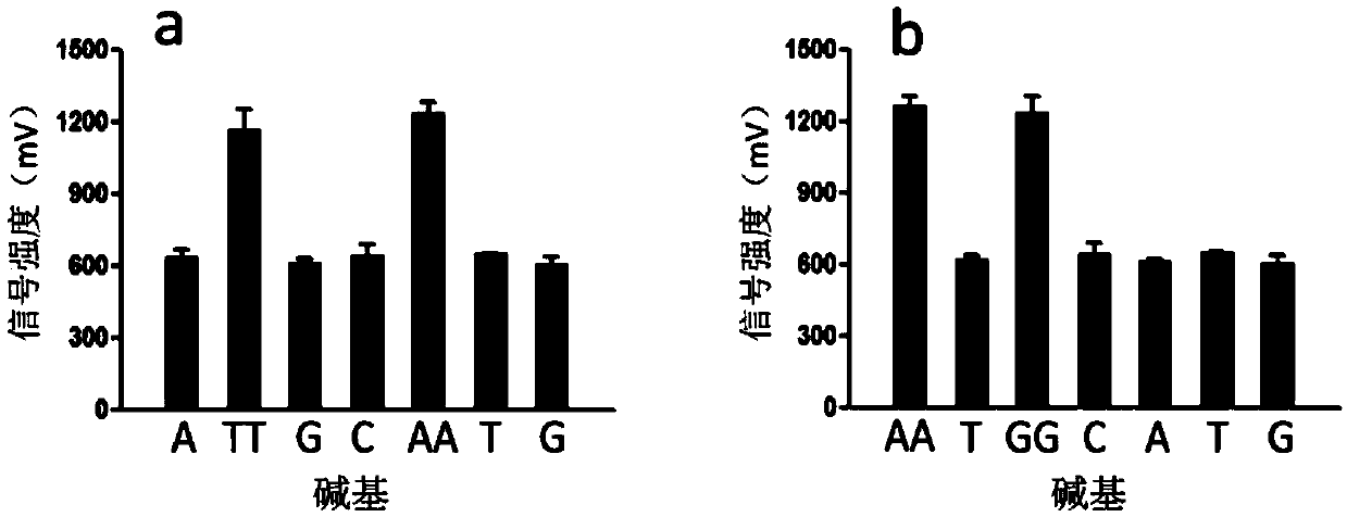 A method for expressing biotinylated luciferase