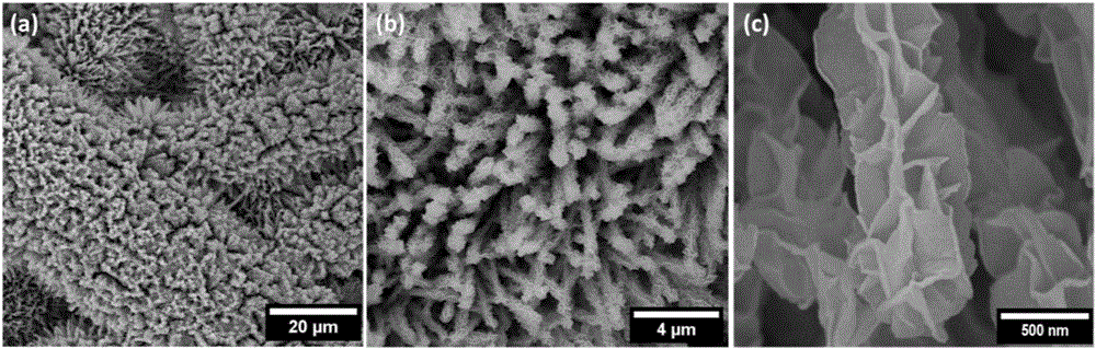 Electrocatalyst with cobalt-based multi-stage nano-composite structure for oxygen production by electrolysis of water and preparation method of electrocatalyst