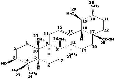 Ursolic acid diethanol amine derivative with anti-tumor activity and preparation method thereof