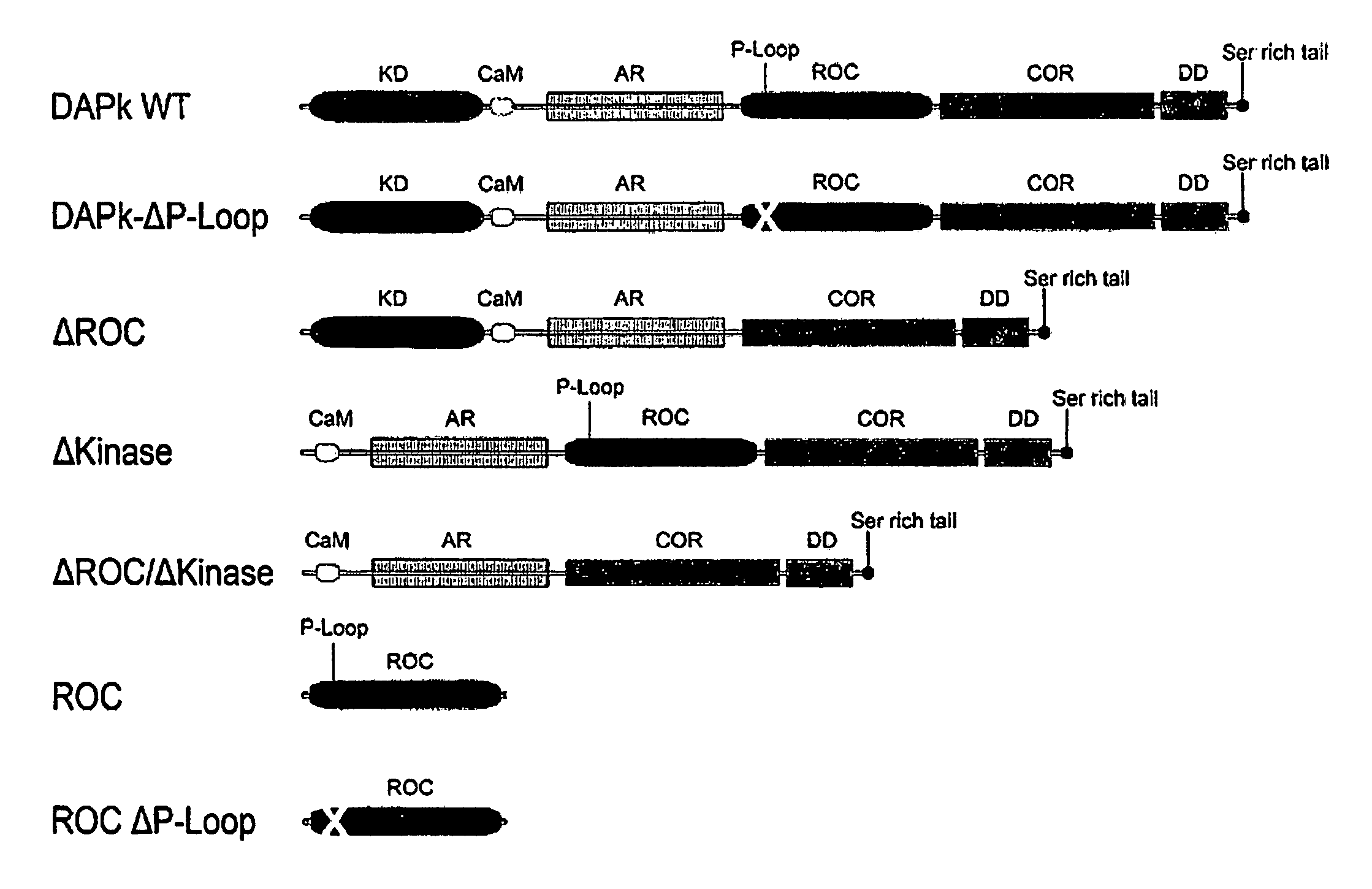 Compositions and methods for treating cancer and neurodegenerative diseases