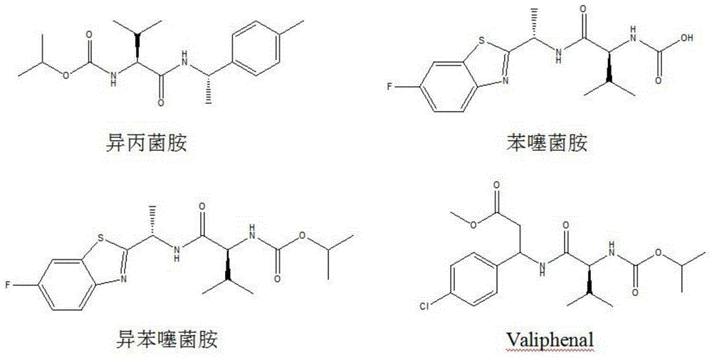 N-(1-methyl-2-substituted methyl) valine amide carbamate derivative and application