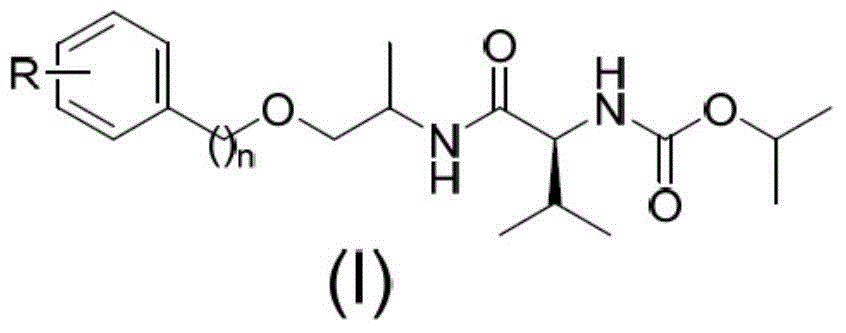 N-(1-methyl-2-substituted methyl) valine amide carbamate derivative and application