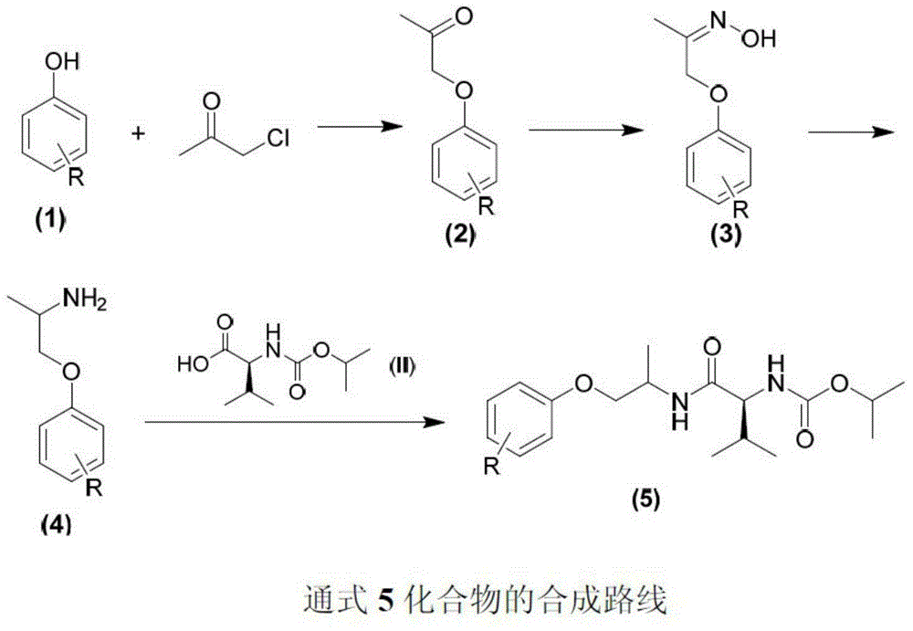 N-(1-methyl-2-substituted methyl) valine amide carbamate derivative and application