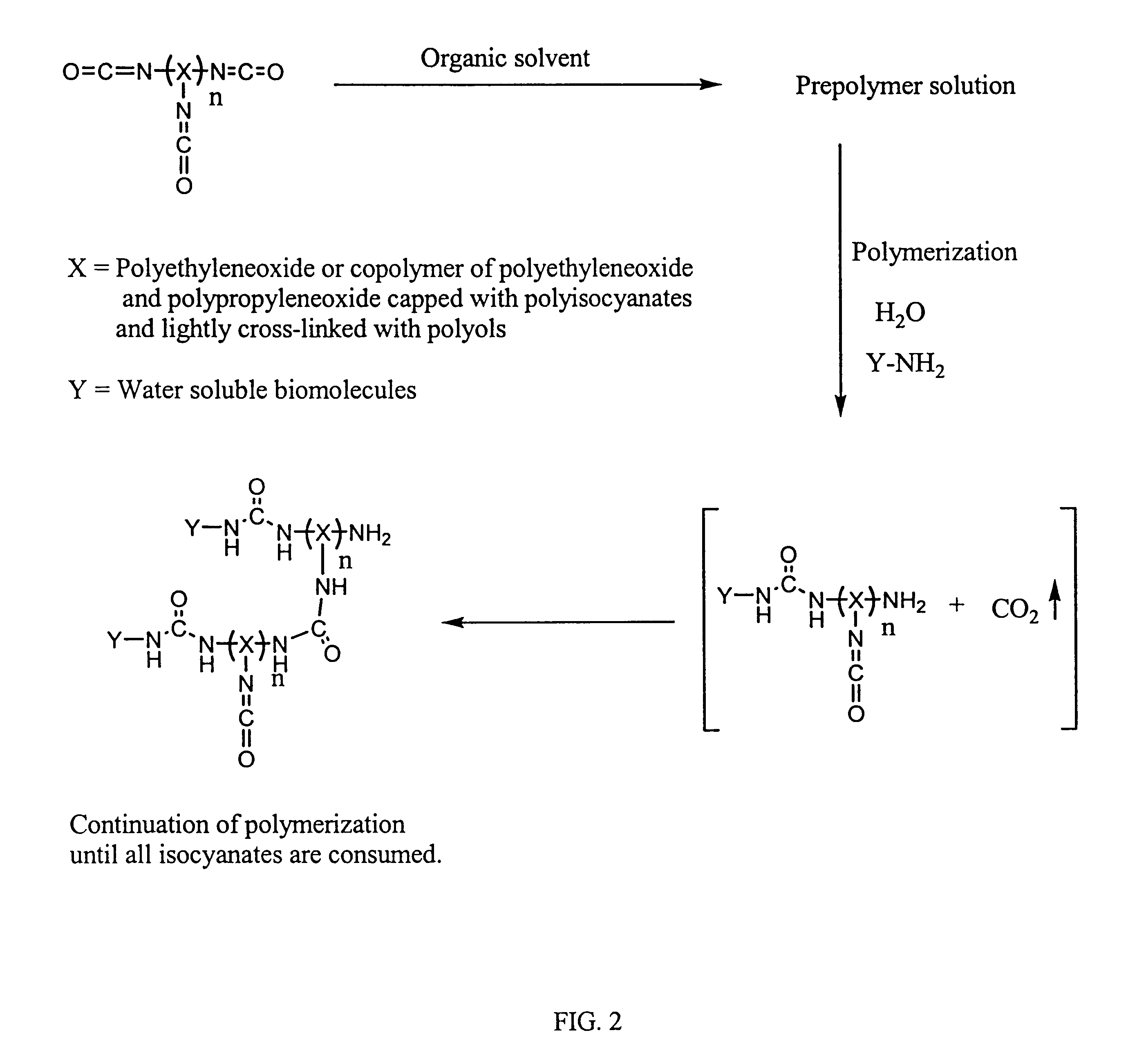 Method of making biochips and the biochips resulting therefrom