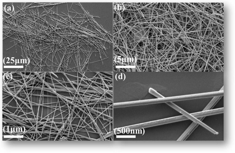 A flexible conductive paper loaded with silver nanowires and its preparation method and application