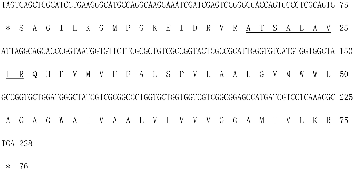 Coding gene of Mycobacterium tuberculosis H37Rv and use thereof