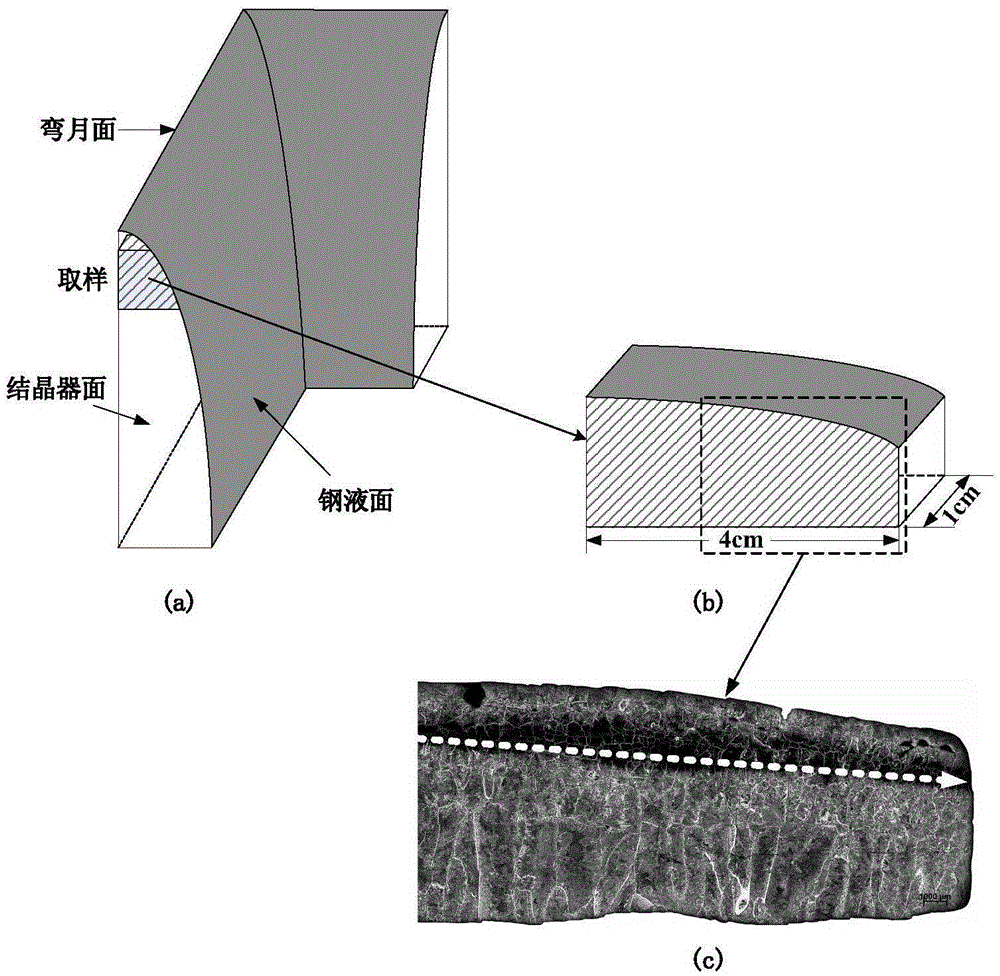 A system and method for predicting the thickness of the initial solidified billet shell in a steel continuous casting crystallizer