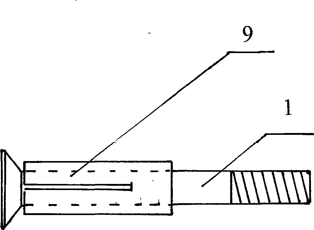 Extending-bulging type glue fixing nail and use method