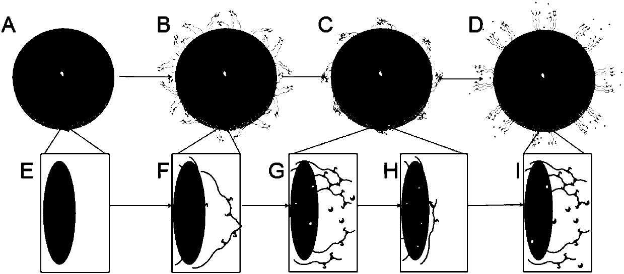 Controllable thermosensitive peptide nano valve modified core-shell mesoporous silica nano-particles as well as preparation method and application thereof