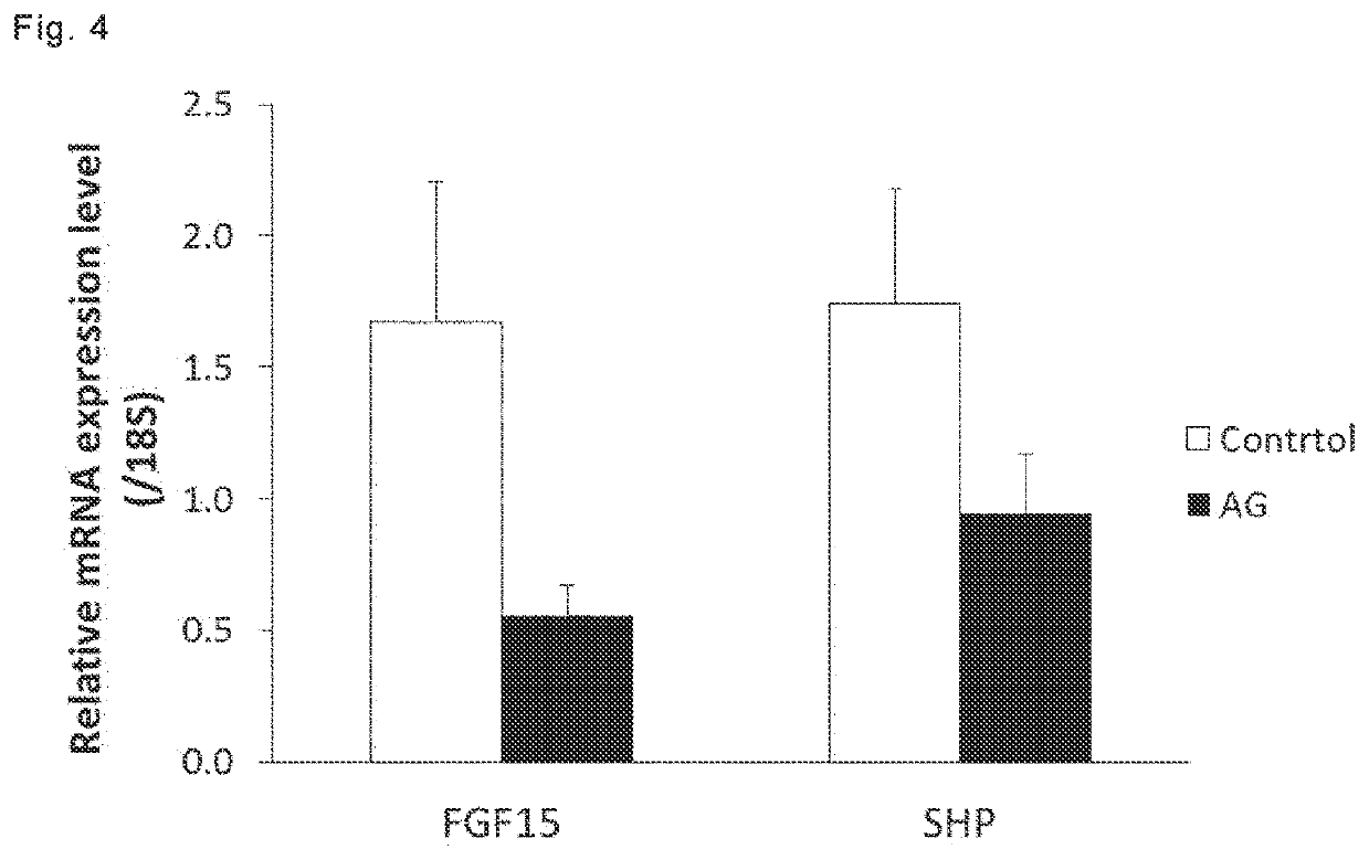 Bile acid synthesis promoter, composition for promoting bile acid synthesis and food composition for promoting bile acid synthesis