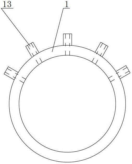 Rock core sealing device and sealing method thereof