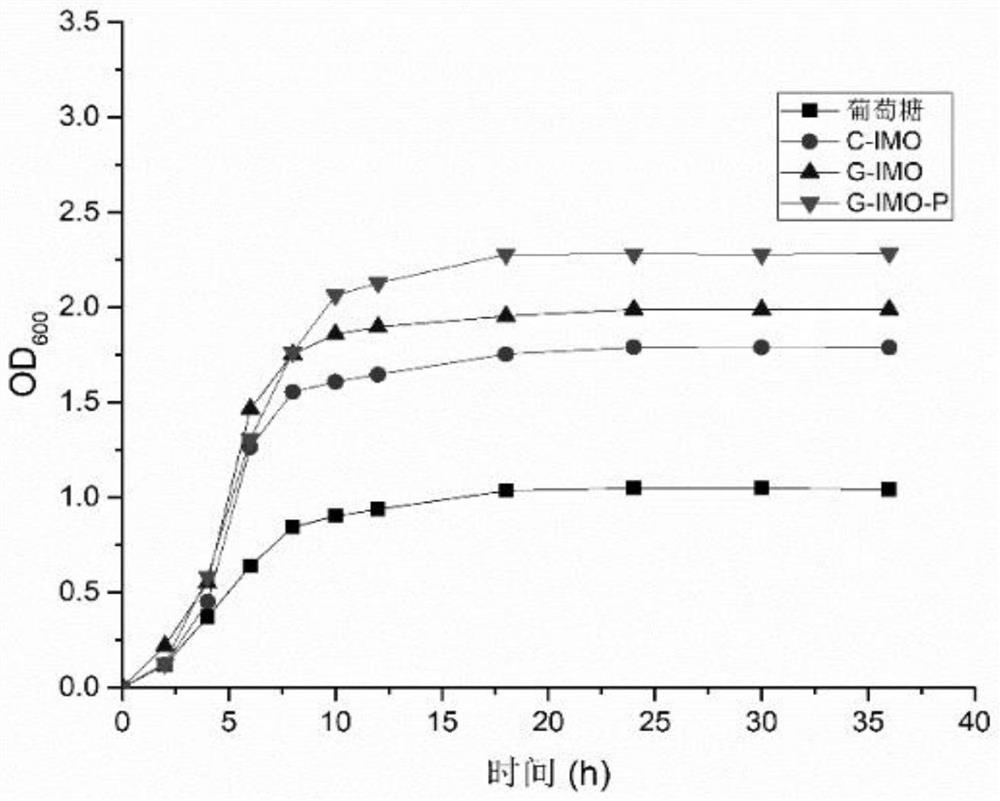Isomaltooligosacharide prepared from ginkgo starch as well as preparation method and application thereof