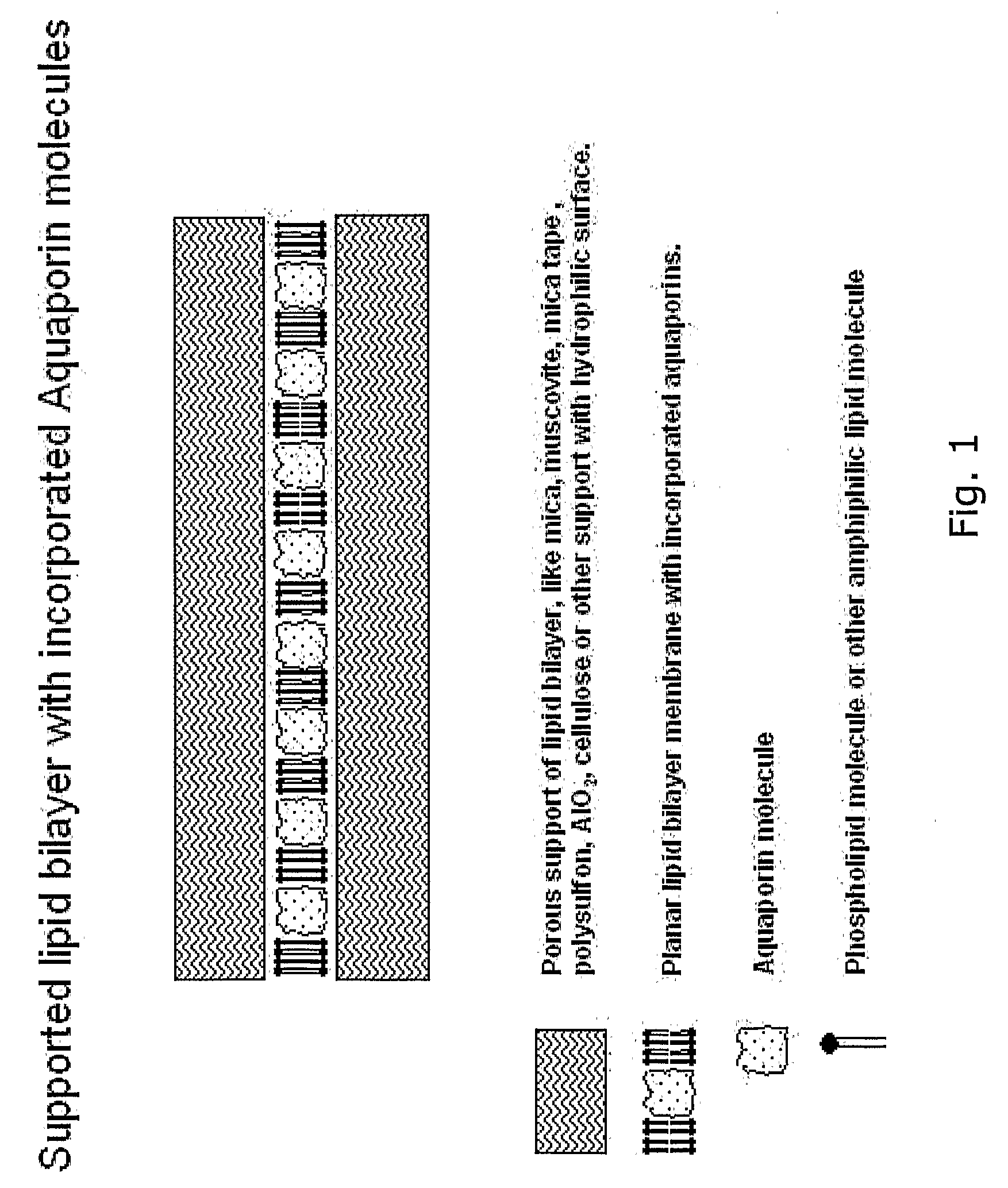Membrane for filtering of water