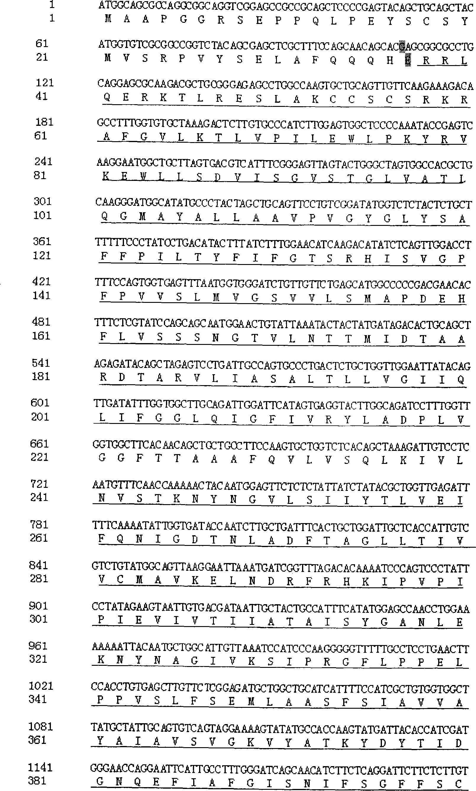 Reagent kit for detecting 1175A&gt;G mutation of large vestibular aqueduct related gene SLC26A4