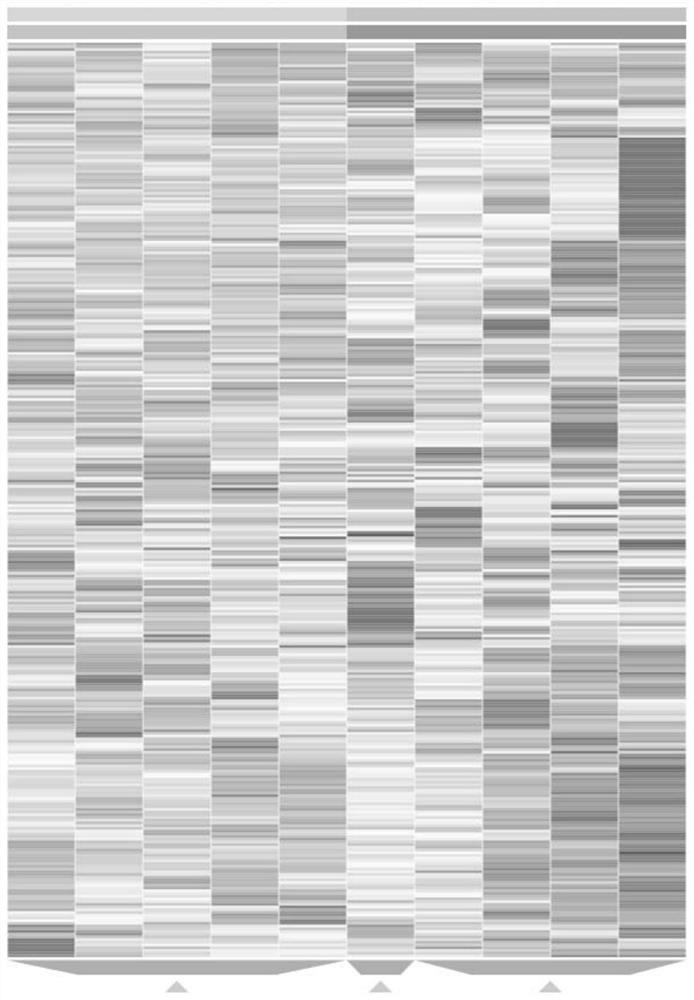 Marker related to abnormal pancreaticobiliary confluence and application thereof