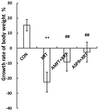 Application of a kind of angelica protein in the preparation of auxiliary tumor therapy drugs