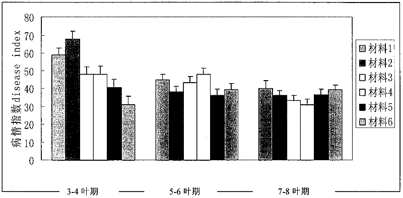 Method for quickly identifying resistance of Chinese cabbage germplasm to black-spot disease