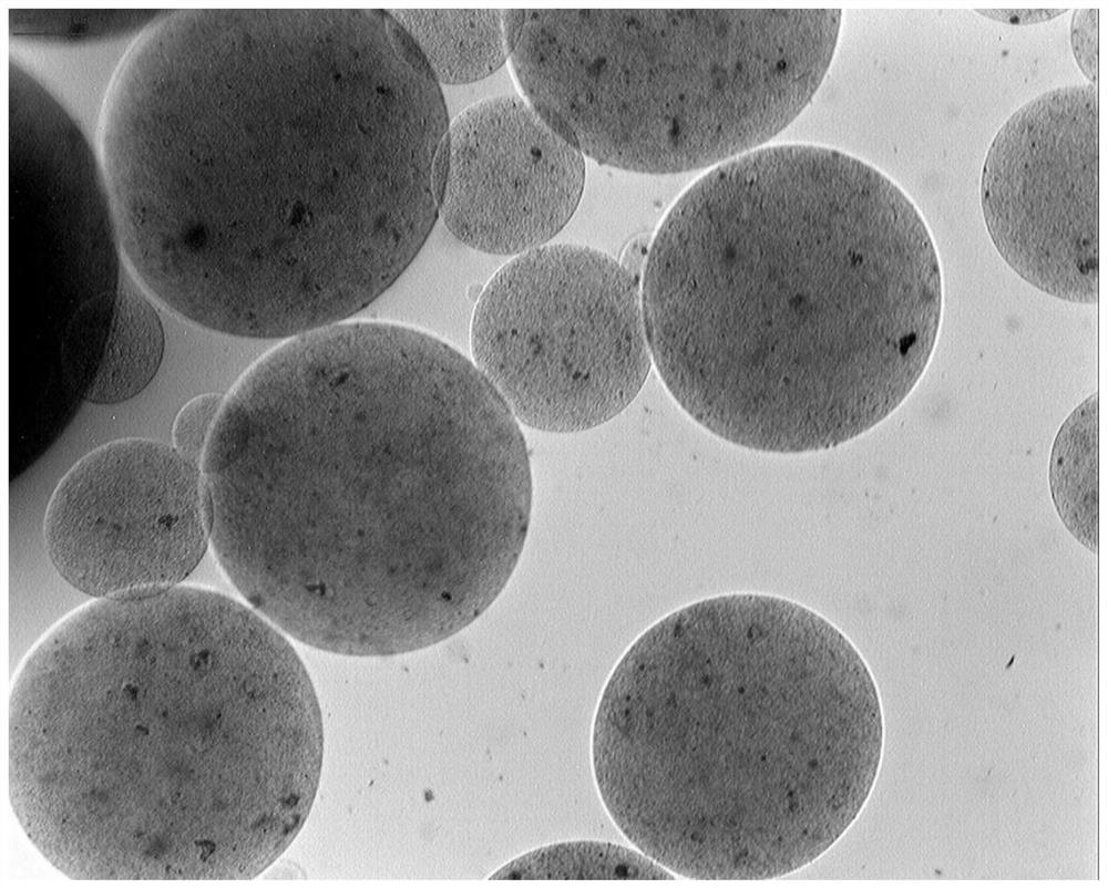 Preparation method and microscopic examination method of chitosan embedded calcium alginate microcapsule