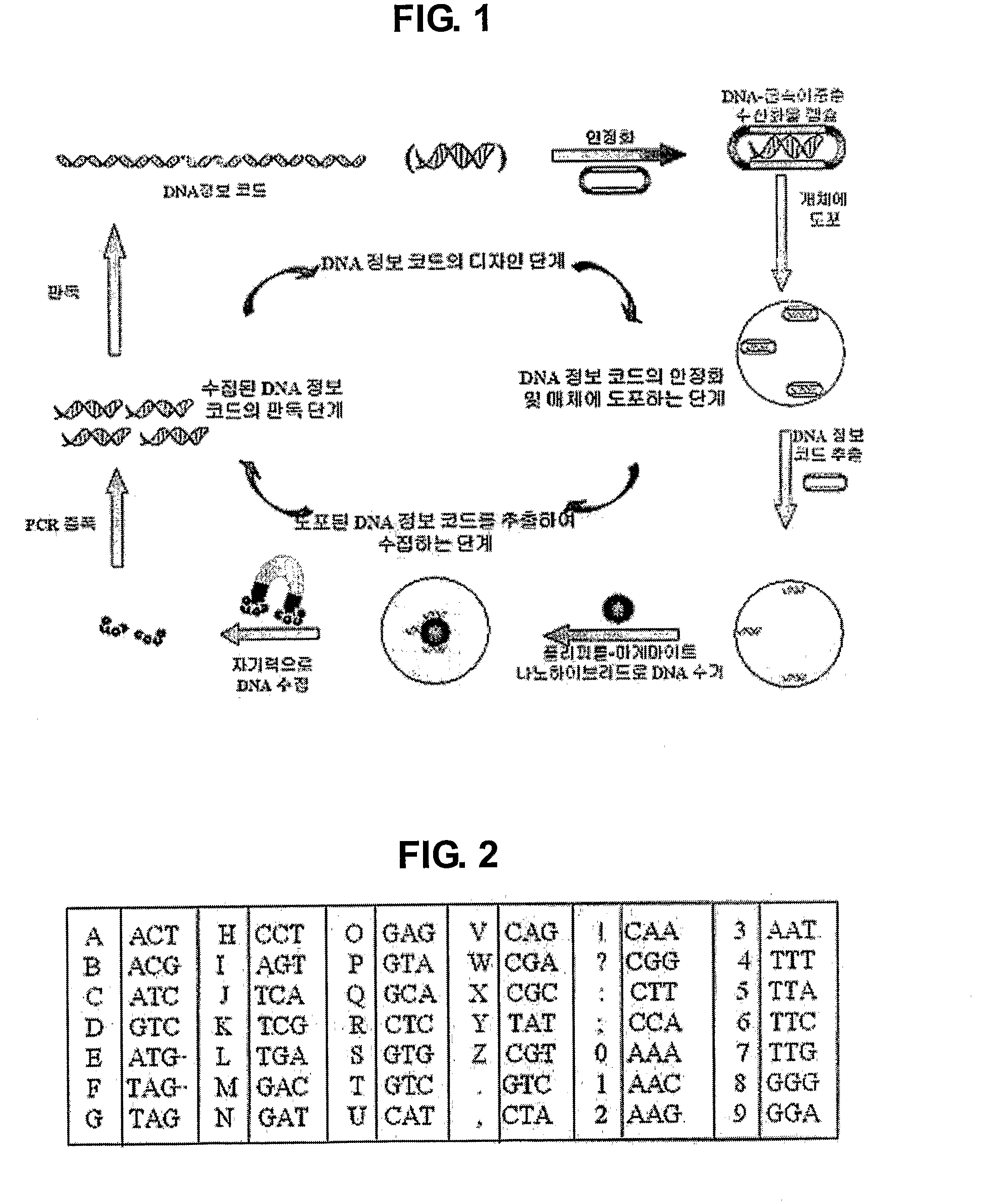 Information Code System Using Dna Sequences