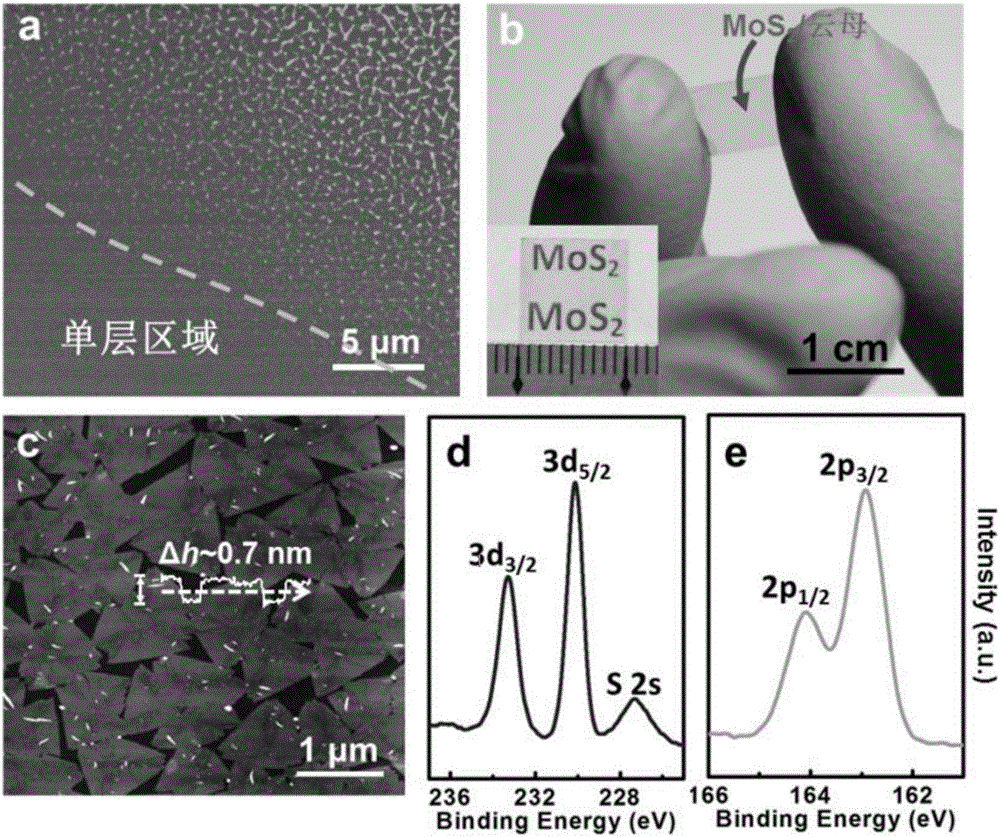 Method for preparing uniform monolayer molybdenum sulfide at centimeter scale