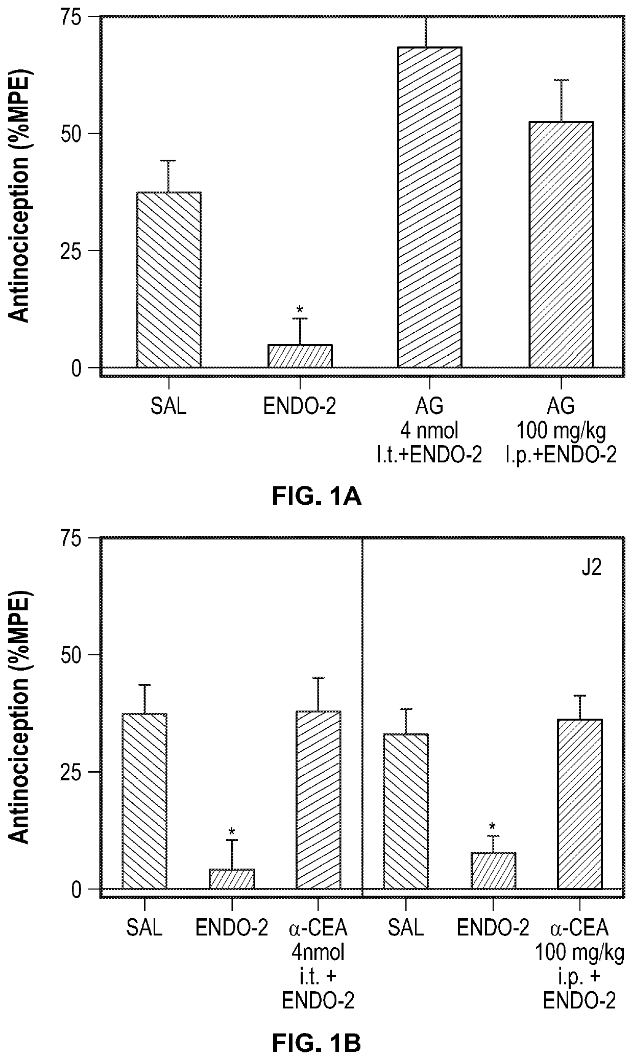 Analgesic and Anti-addictive compositions for treatment of chronic pain and opioid addiction