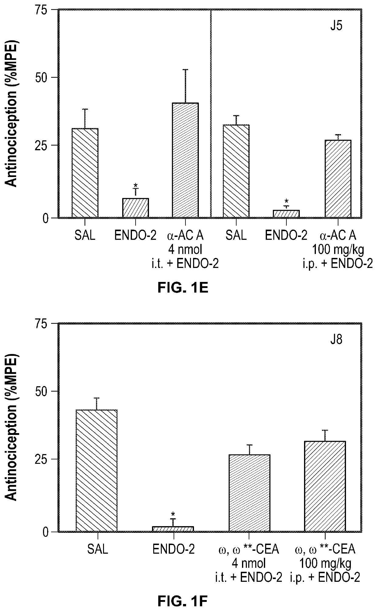 Analgesic and Anti-addictive compositions for treatment of chronic pain and opioid addiction