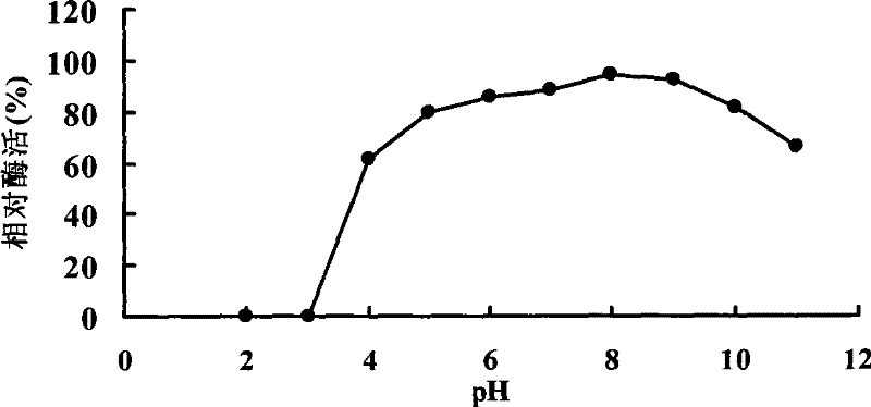 Novel antiprotease acid alpha-galactosidase AGA36 and gene and application thereof