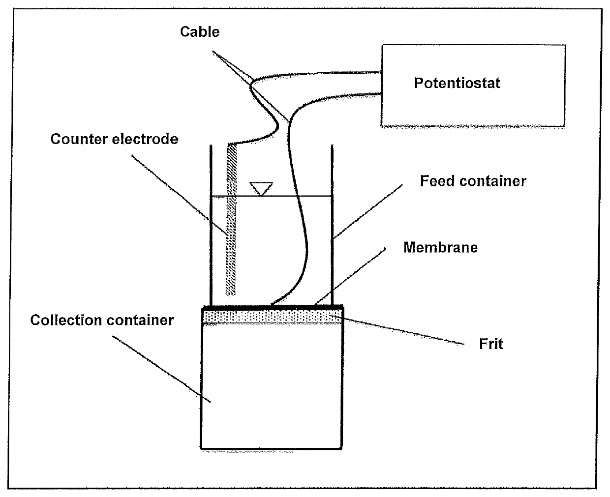 Metal coated polymembrane and method of electrofiltration and electrosorption using a metal coated polymembrane