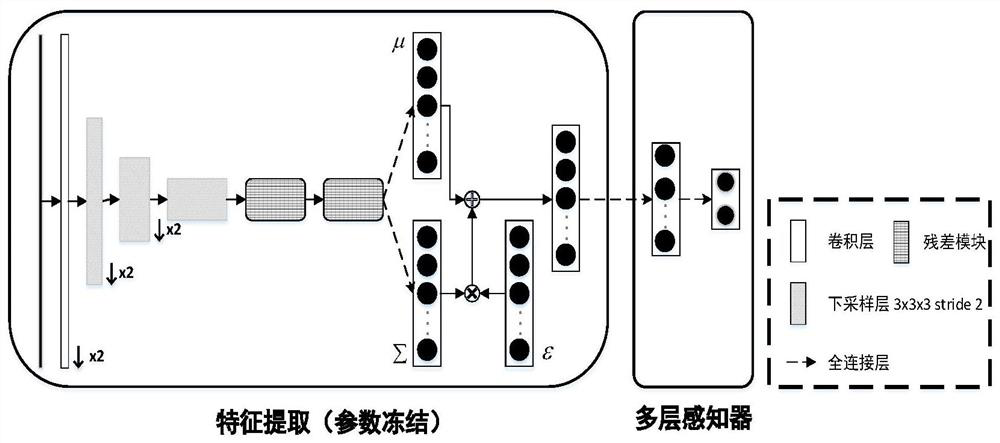 A Classification Method of Brain Functional Networks Based on Variational Autoencoders