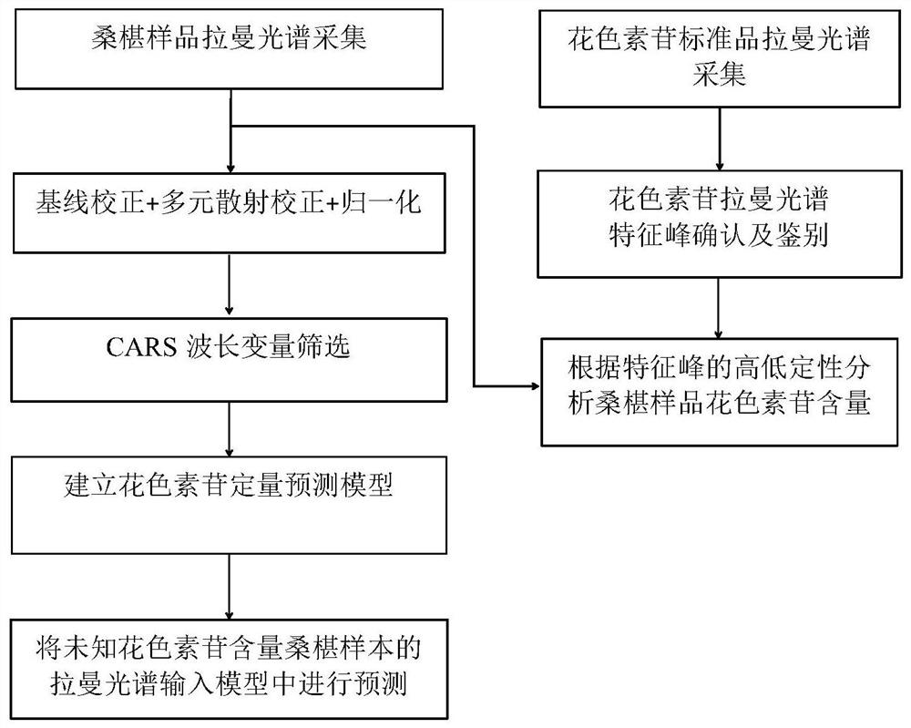 Method for detecting anthocyanin in mulberries based on Raman spectrum technology