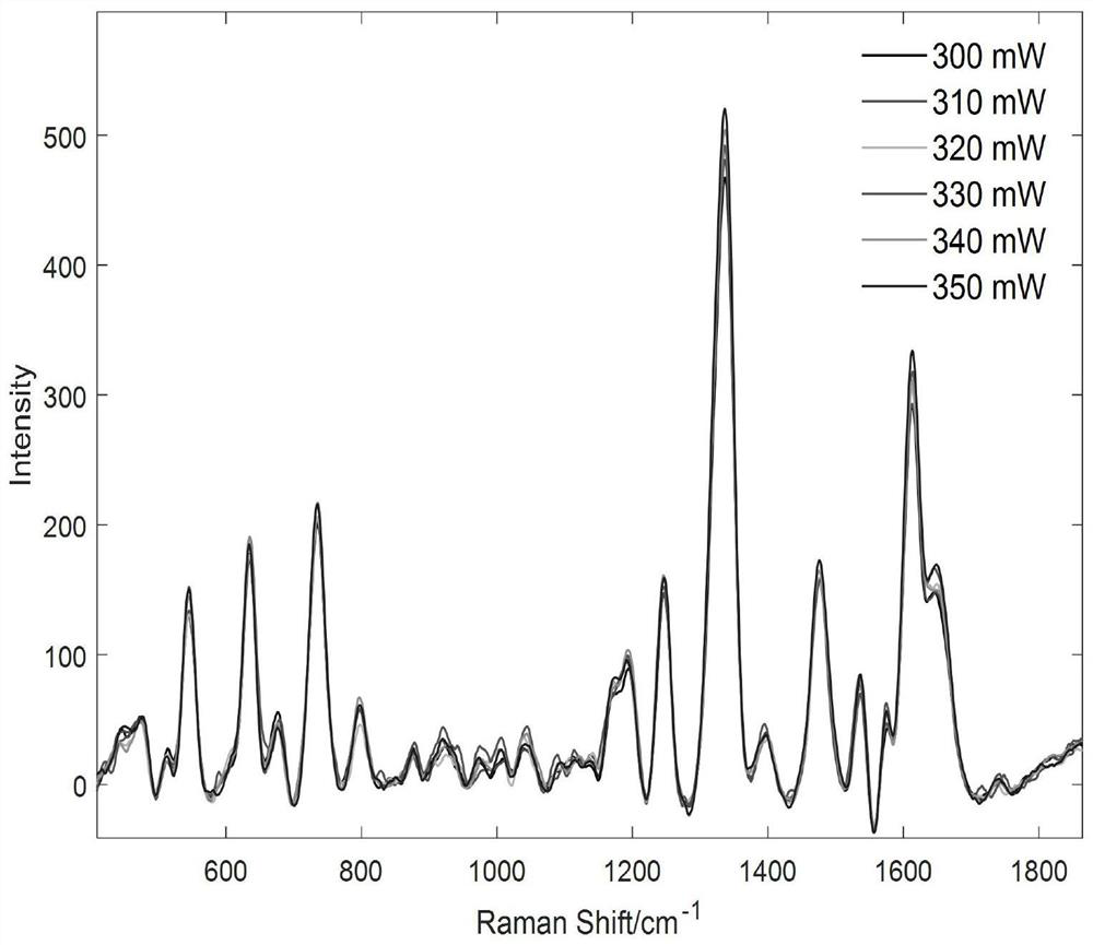 Method for detecting anthocyanin in mulberries based on Raman spectrum technology