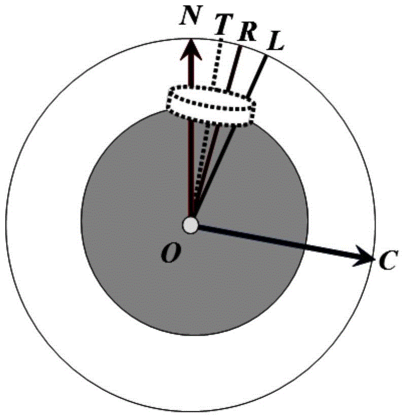 Magnetically suspended gyroscope north-seeking data gross error rejecting method based on double position characteristics