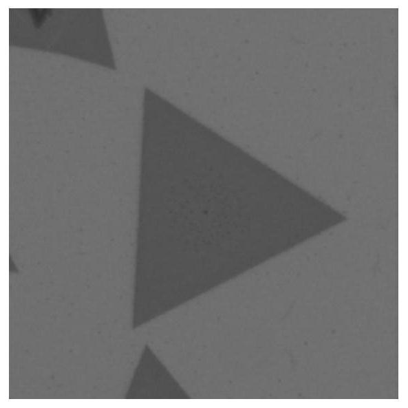 A chalcogen compound wafer-assisted localized growth method for transition metal chalcogenides