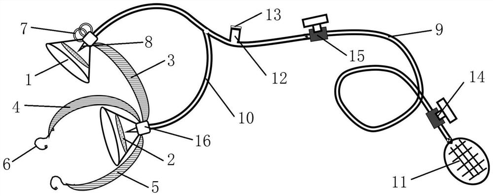 Animal magnetic resonance imaging eye protection device and use method