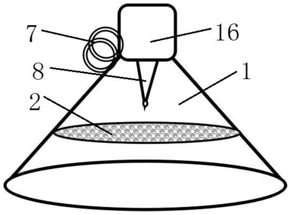 Animal magnetic resonance imaging eye protection device and use method