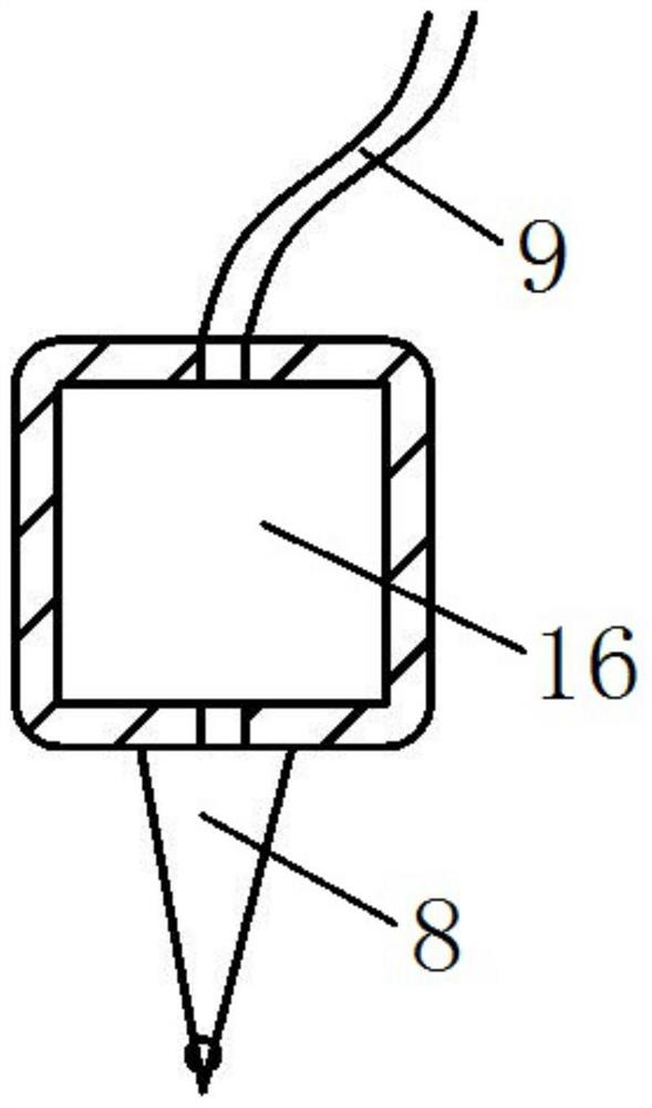 Animal magnetic resonance imaging eye protection device and use method