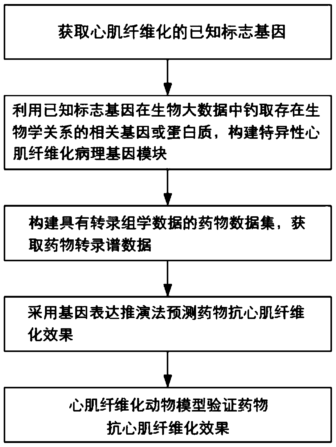 Screening method of anti-myocardial fibrosis drug