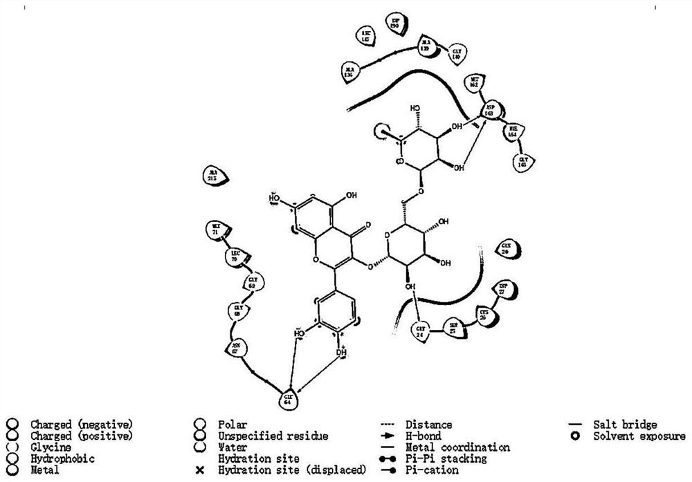 Application of headleaf loosestrife herb pharmacodynamic substance in preparation of new coronavirus resisting drug