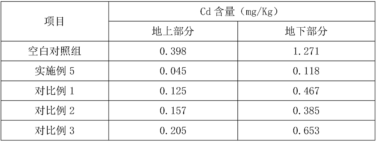 Heavy metal adsorbent and preparation method and application thereof