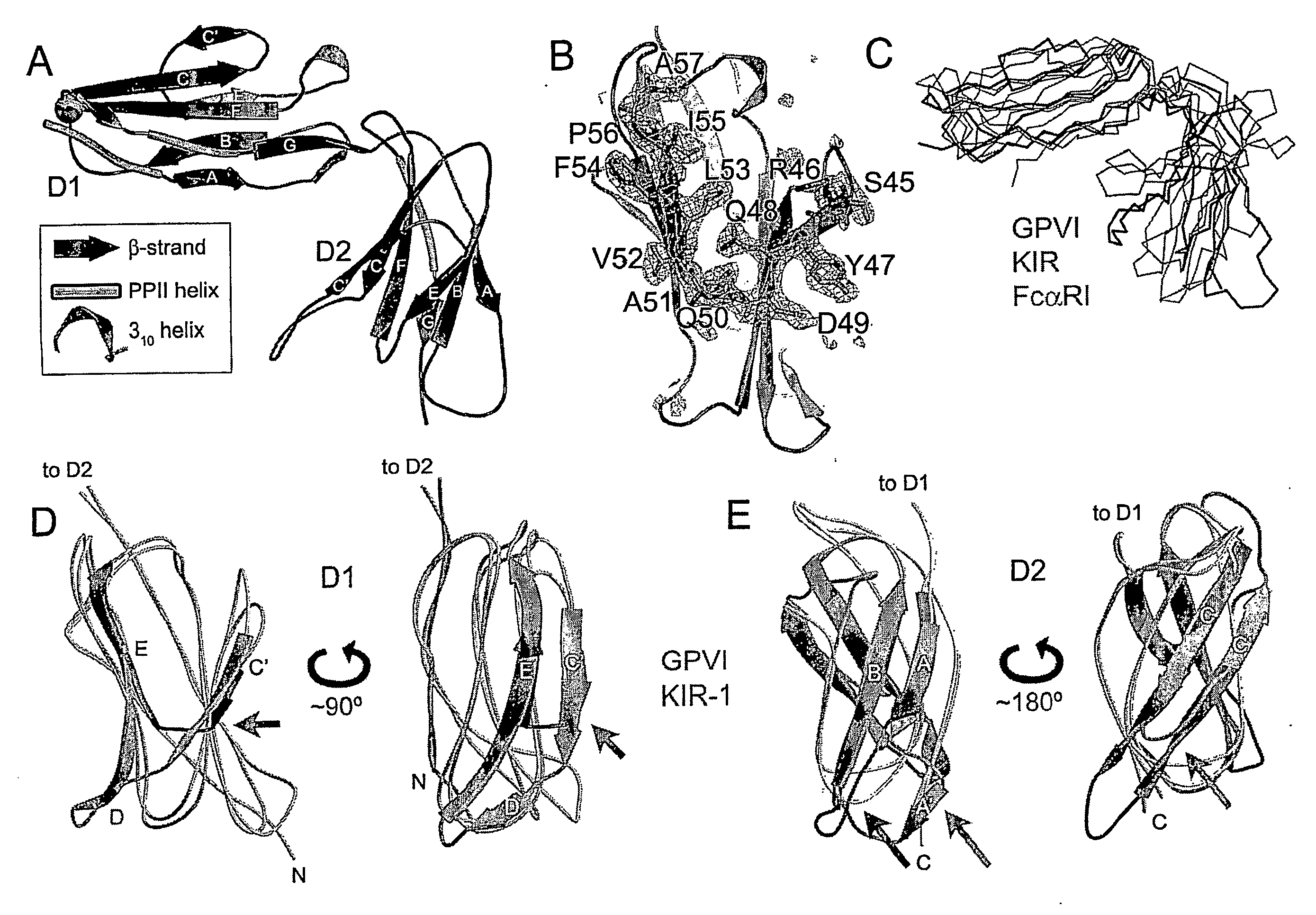 Crystal structure of human gpvi and applications thereof