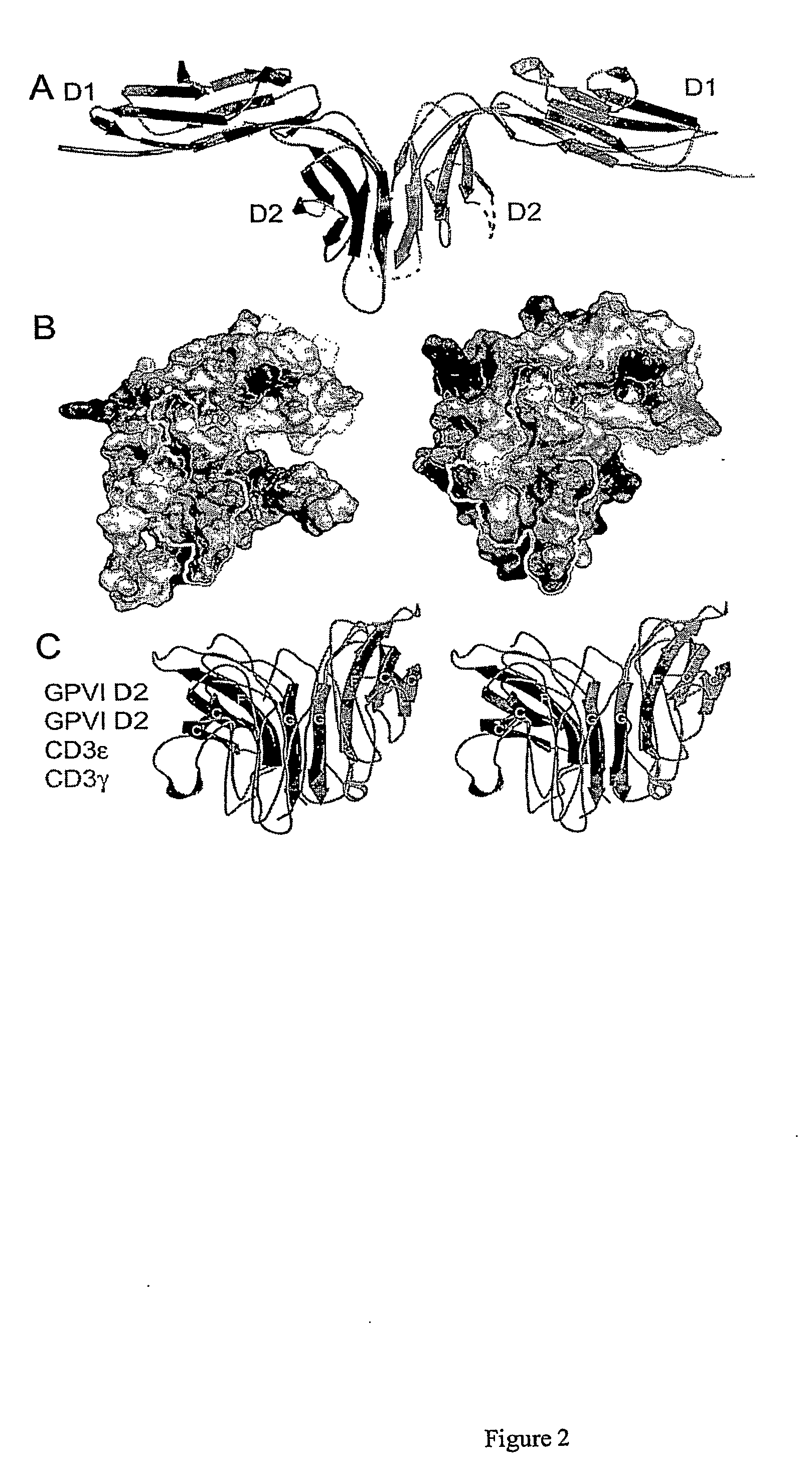 Crystal structure of human gpvi and applications thereof