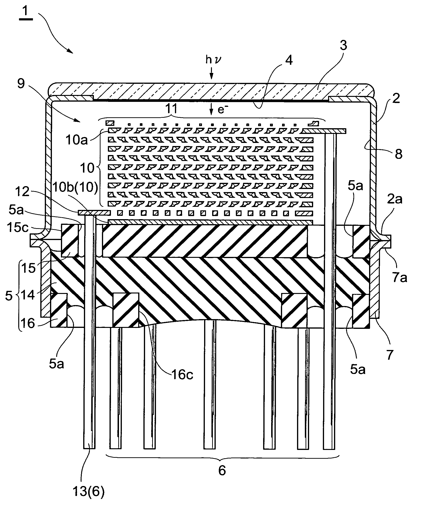 Photomultiplier and radiation detector