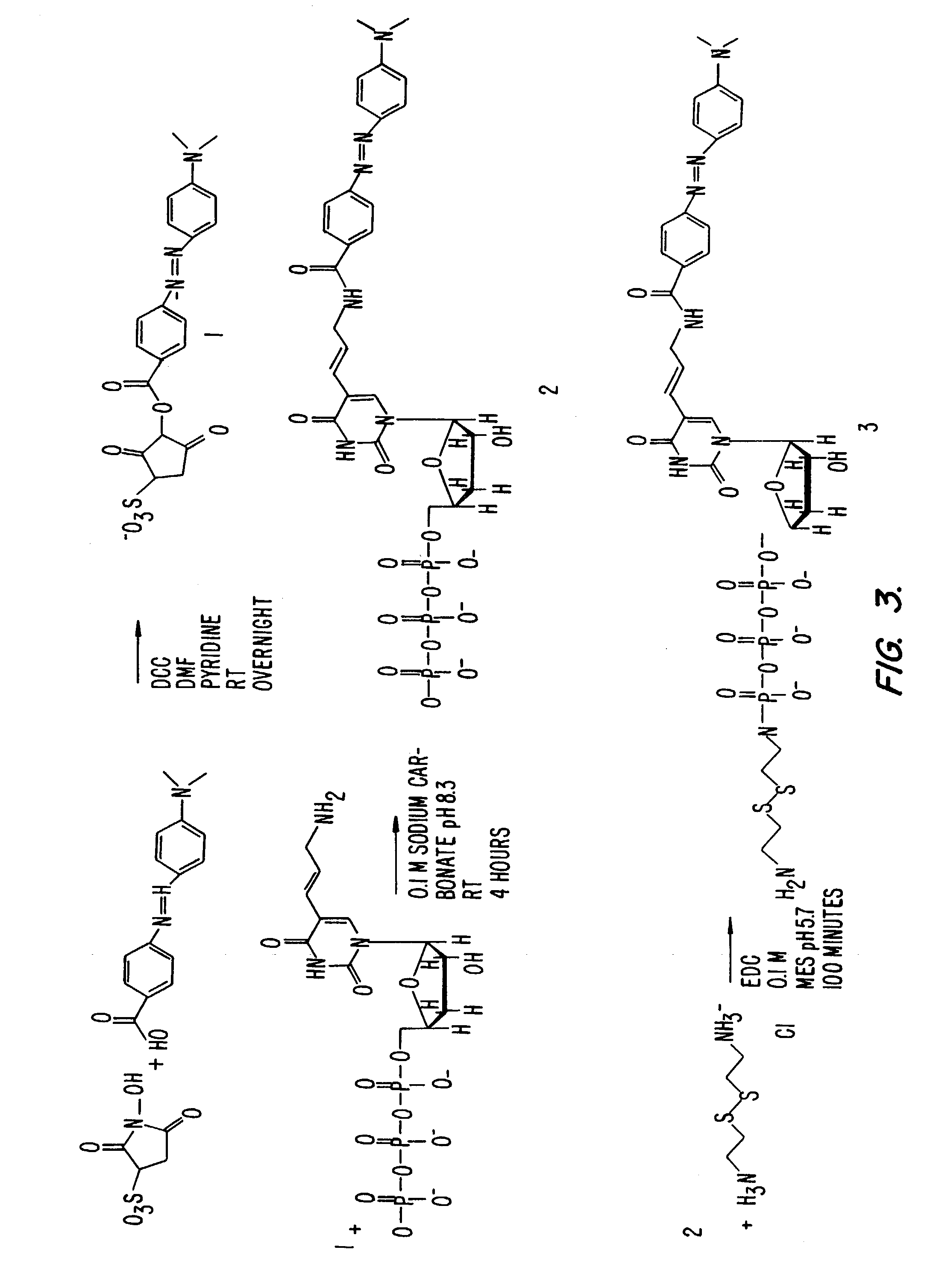 System and method for nucleic acid sequencing by polymerase synthesis