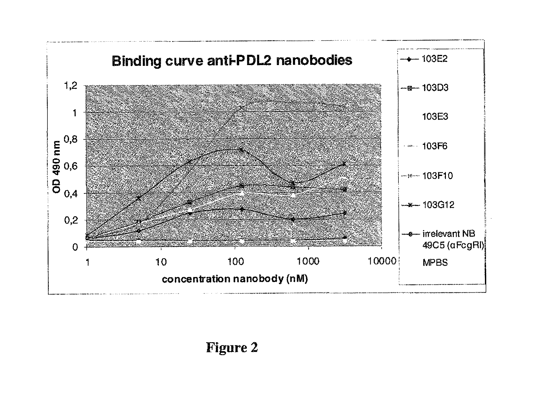 Binding molecules with multiple binding sites, compositions comprising the same and uses thereof
