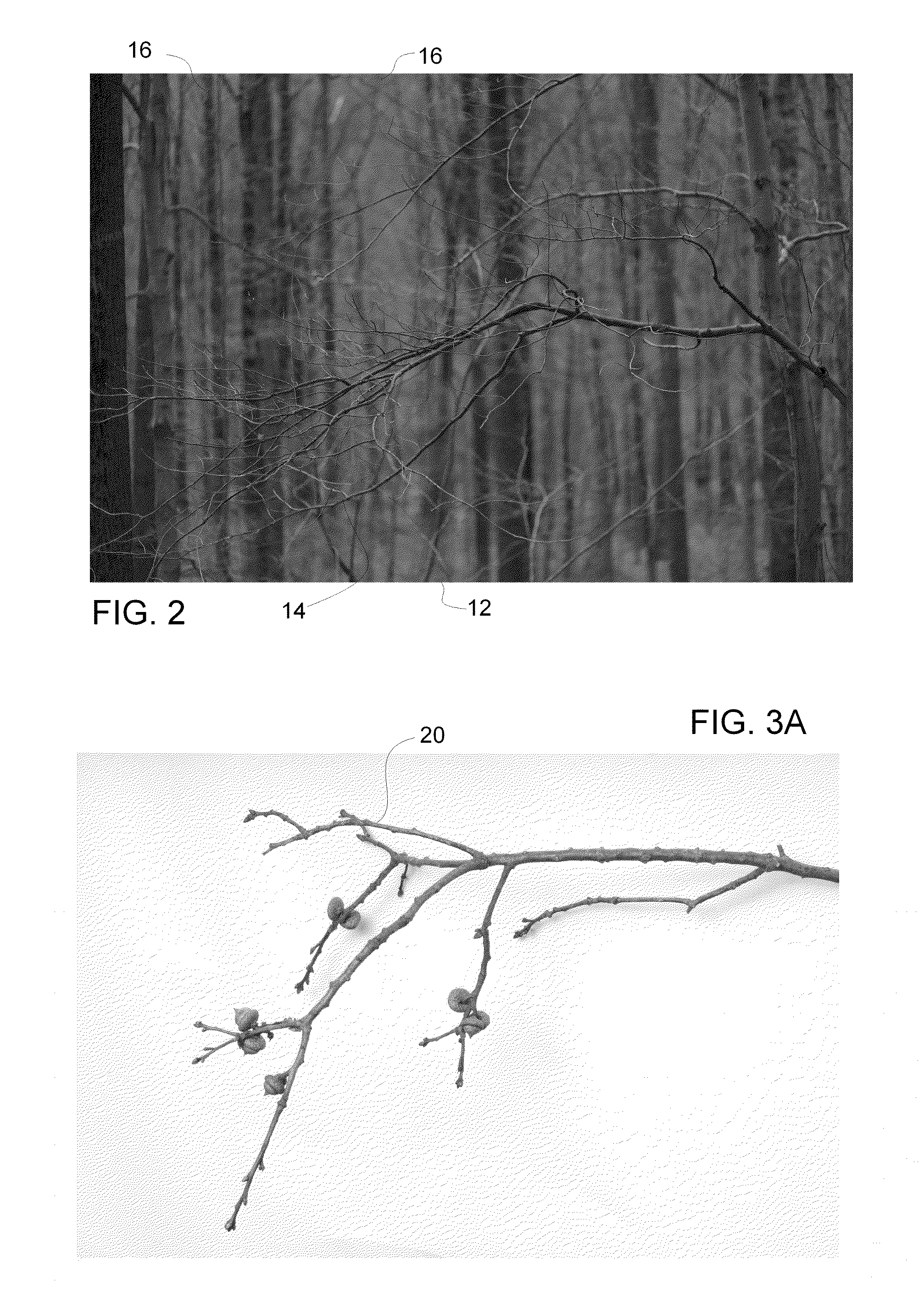 Image processing for forming realistic stratum detritus detail in a camouflage pattern and a camouflage pattern formed thereby